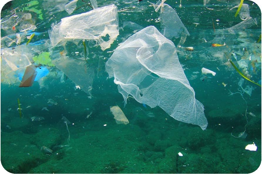 ocean plastique pollution